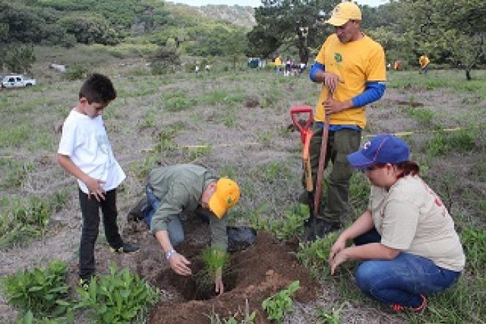 Lanza OPD Bosque La Primavera convocatoria de reforestación social |  Secretaría de Medio Ambiente y Desarrollo Territorial